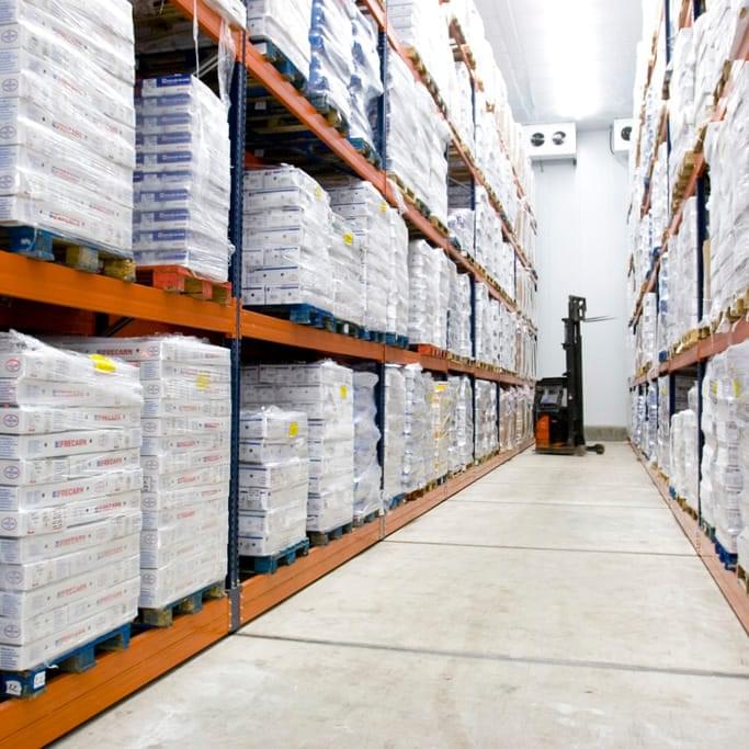 Cold Storage Construction Services