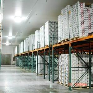 Cold Store & Food Factory Construction Projects