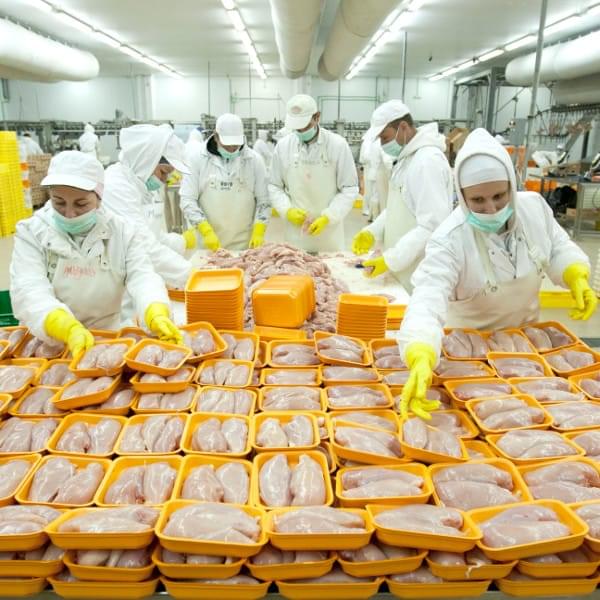 Food Factory Construction Services